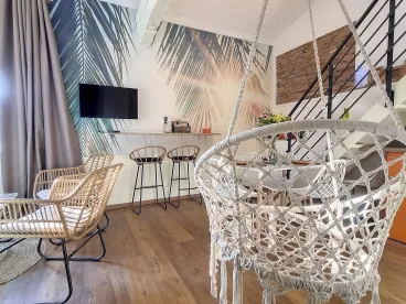 Illustration du logement " Boudu L'Appart"