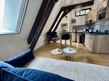 Illustration du logement Le Petit Lemullier